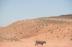 Antelope Canyon 羚羊峽谷